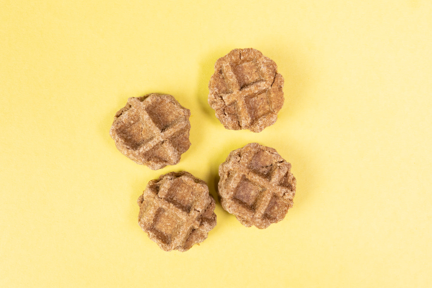 Dog Waffles by Frostreats