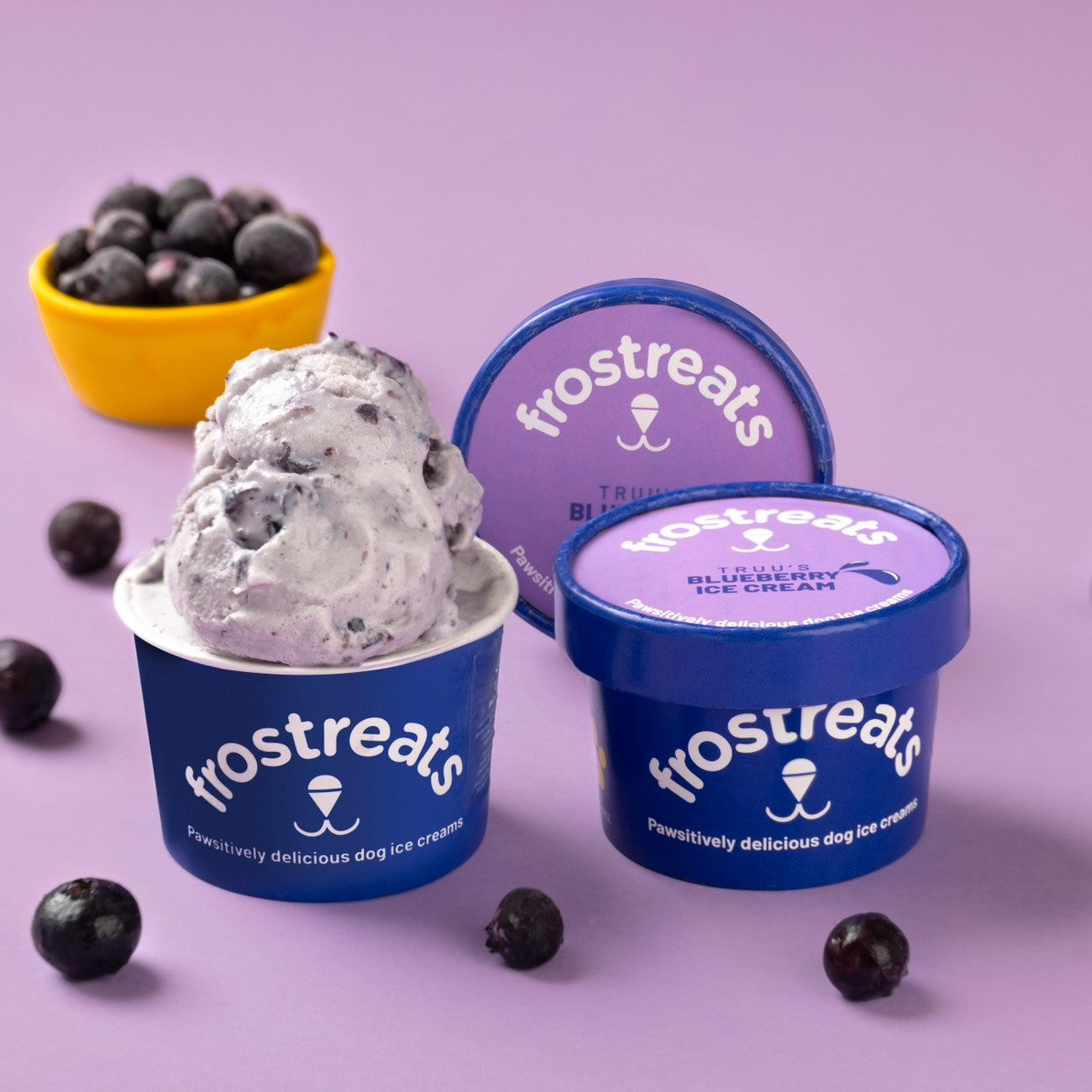 Blueberry Ice Cream for Dogs - Frostreats