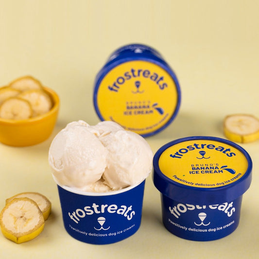 Banana Ice Cream for Dogs - Frostreats