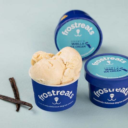 Vanilla Ice Cream for Dogs - Frostreats