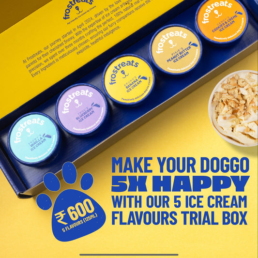 Frostreats Gift Pack for Dogs