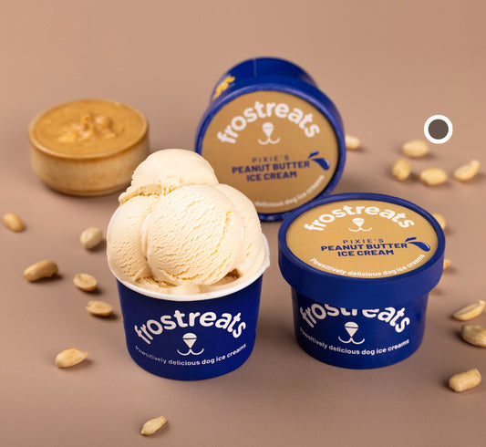 Frostreats Peanut Butter Ice Cream for Dogs