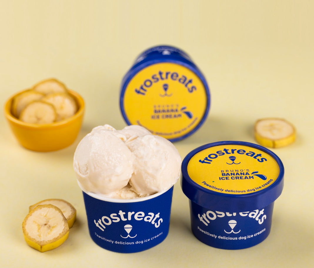 Frostreats Banana Ice Cream for Dogs