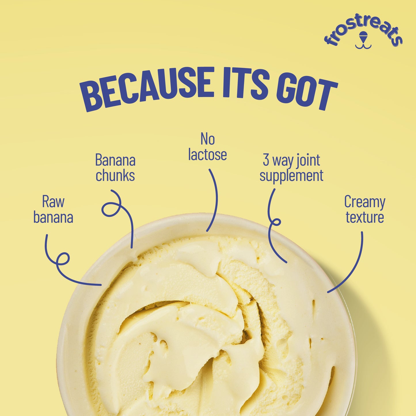Frostreats Banana Ice Cream for Dogs